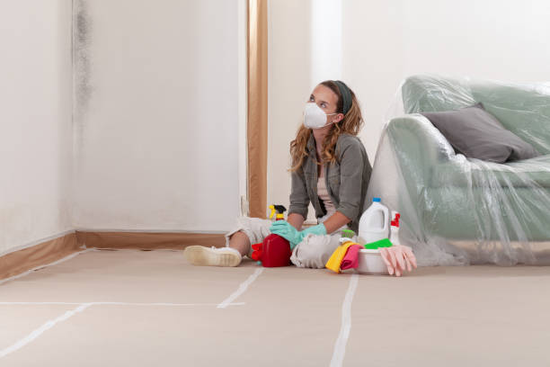 Reliable Mold Remediation contractor in Fort Lee, NJ by Cheap Mold Removal